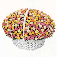 Премиум букет из: Розы в Шумский