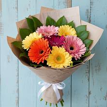 Букет цветов из:  Герберы в Шумский
