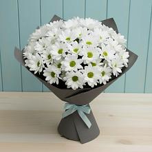 Букет цветов из:  Хризантемы в Шумский