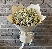 Букет цветов из:  Ромашки в Шумский