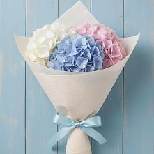 Букет цветов из:  Гортензия #REPLACE_PRED# Шумский