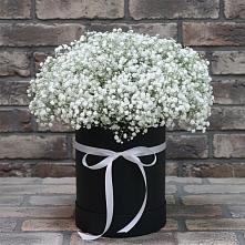 Цветочная композиция из Гипсофила в шляпной коробке в Шумский