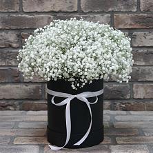 Цветочная композиция из Гипсофила в шляпной коробке в Шумский