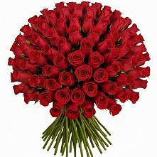 Букет Красные розы Чери Лав в Шумский