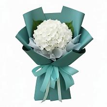 Букет цветов из:  Гортензия в Шумский